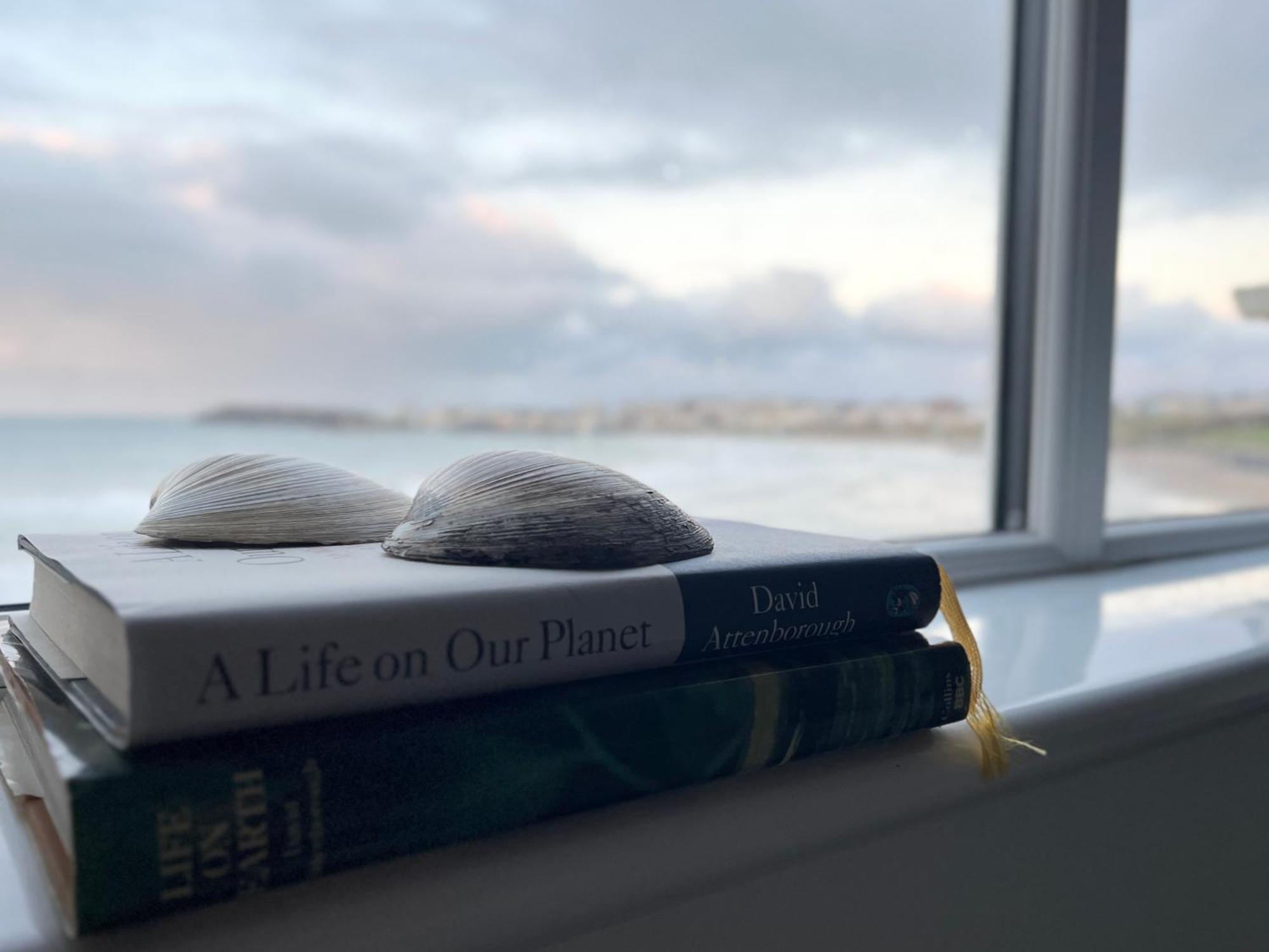 Apartmán Sound Of The Sea - Penthouse In Portrush Exteriér fotografie